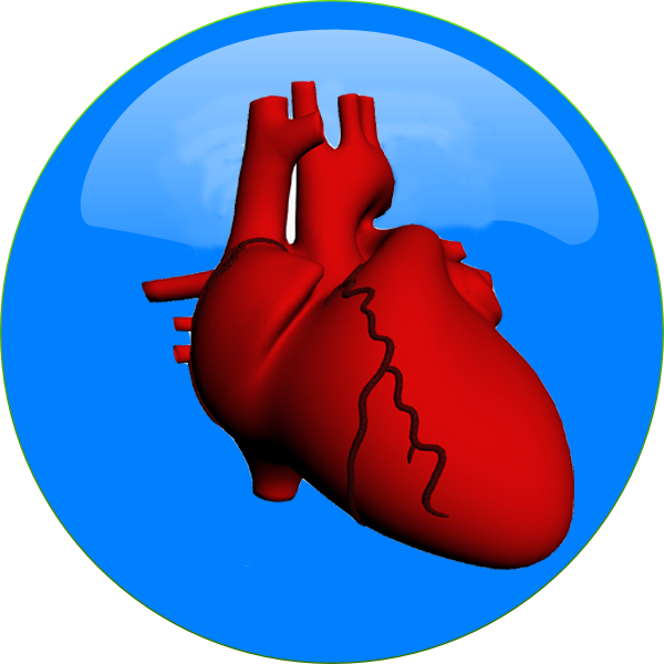 cardiac